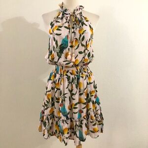 Nicoblu Halter Dress with Tropical Parrot Lemon Print Size Small